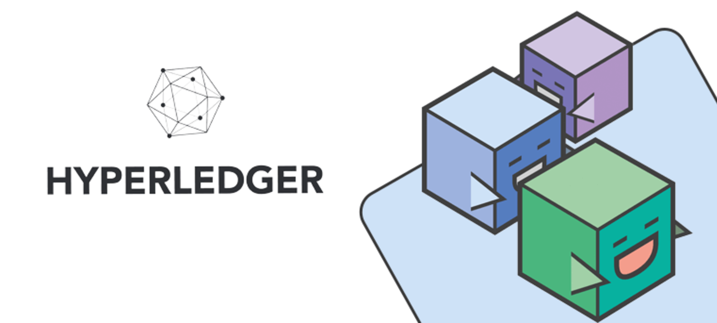 WTF is Hyperledger ?