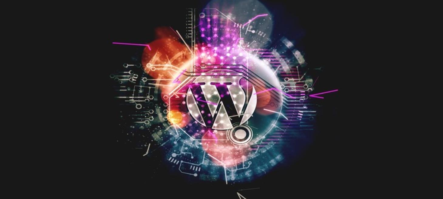 How Is the Speed of a WordPress Website Broken Down?
