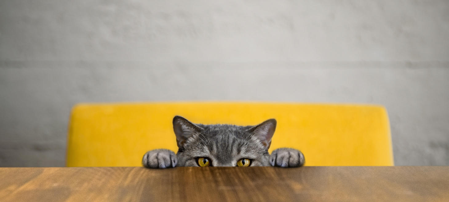 15 Creative Ways to Stop Overthinking Things
