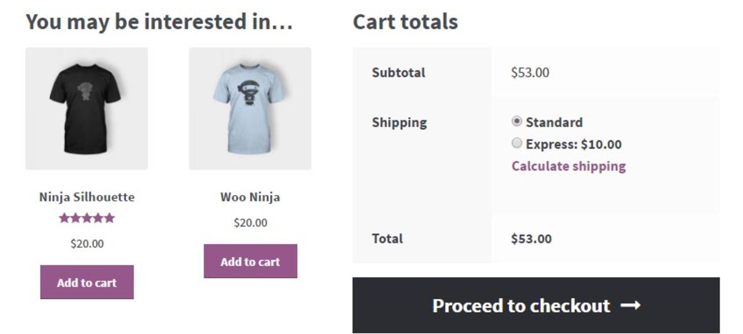 12 Best WooCommerce Plugins for Your Online Store