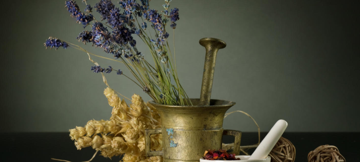 2015 Study Says Salvia Plebeia Inhibits Inflammatory Arthritis