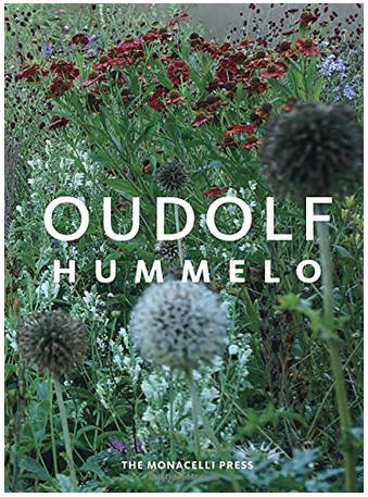Video: Noel Kingsbury on Piet Oudolf's Natural Design with Perennials