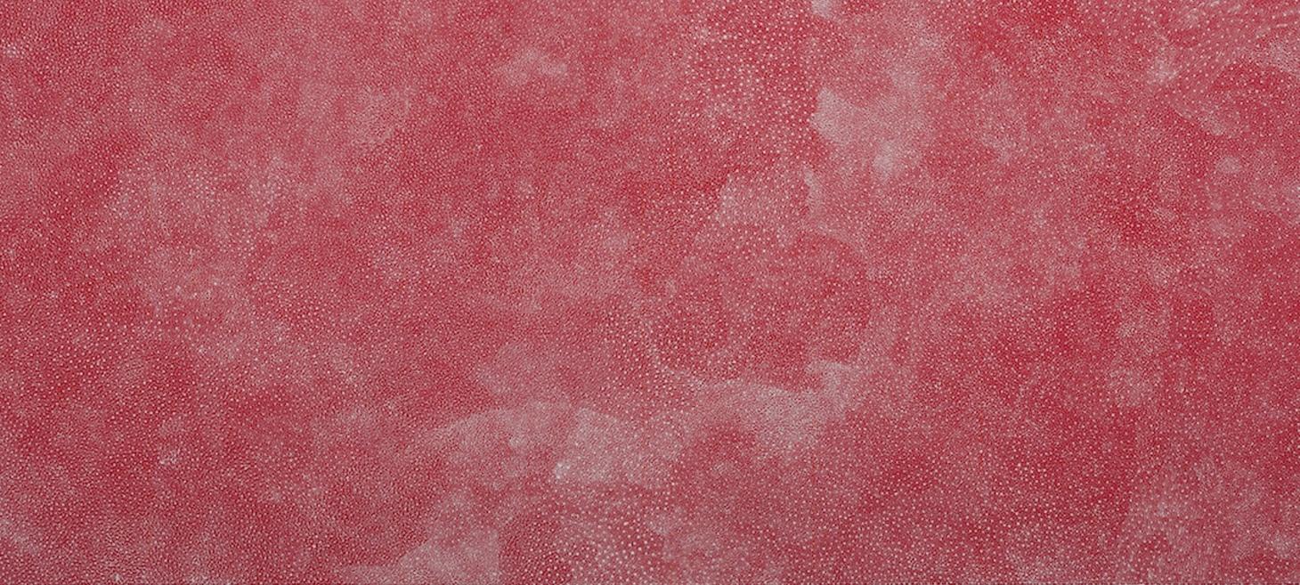'Aboriginal Women Artists and Their Visions of Infinity'