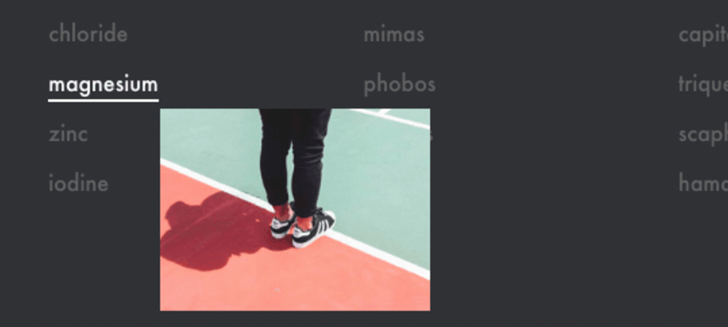 Image Reveal Hover Effects