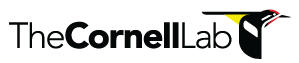 Free Bird Identification App from Cornell Ornithology