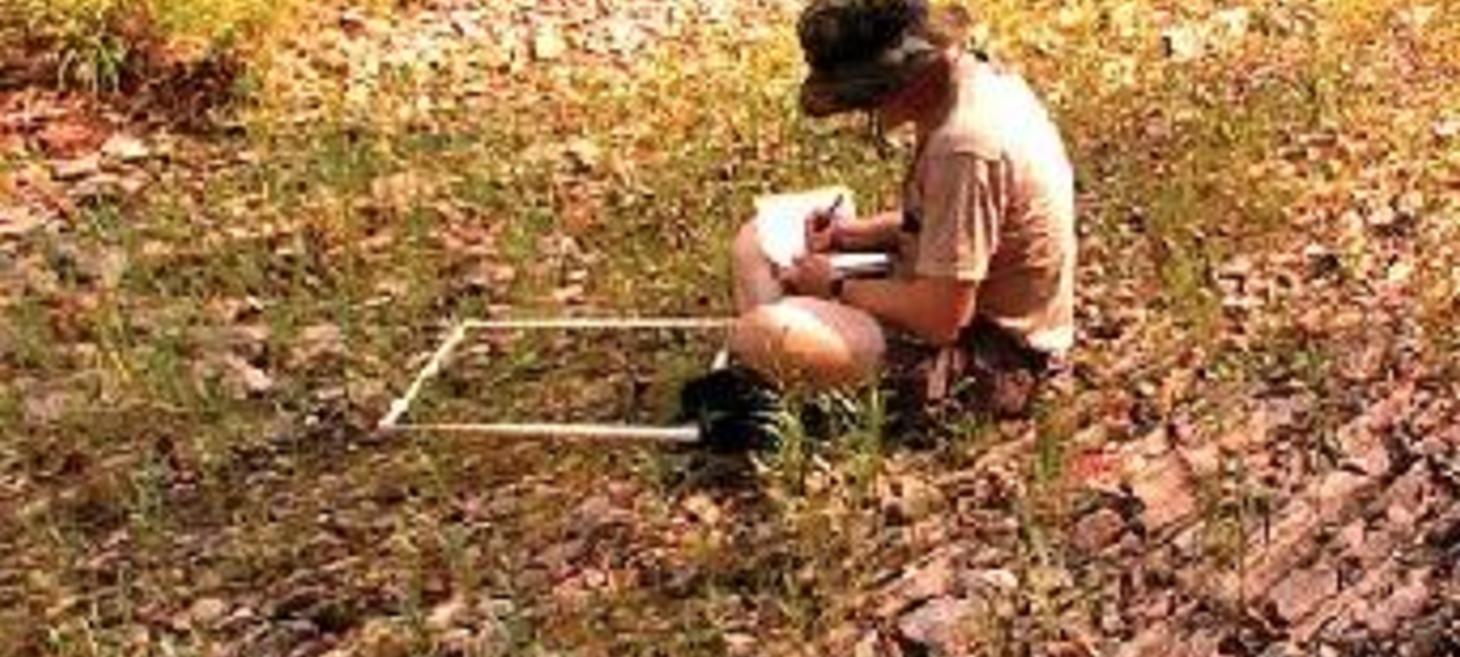 How Plant Collectors Help Save Our Botanical Heritage