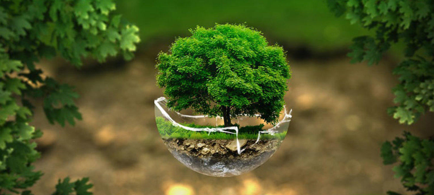 Seven Ways to Make Your Online and Offline Business More Eco-Friendly
