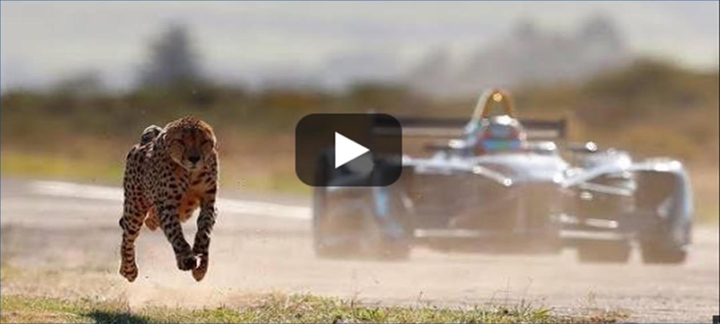 Formula E vs. Cheetah - Who wins?
