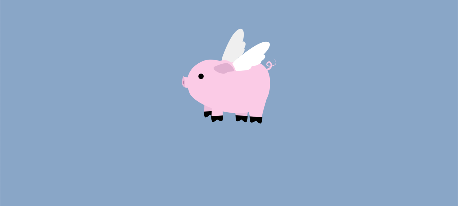 Flying Pig