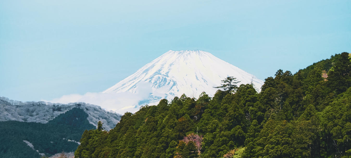 Fuji Mountain 就是滿滿的 Fuji 的 Rock
