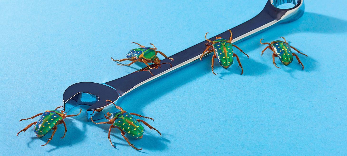 Letter of Recommendation: Bug Fixes
