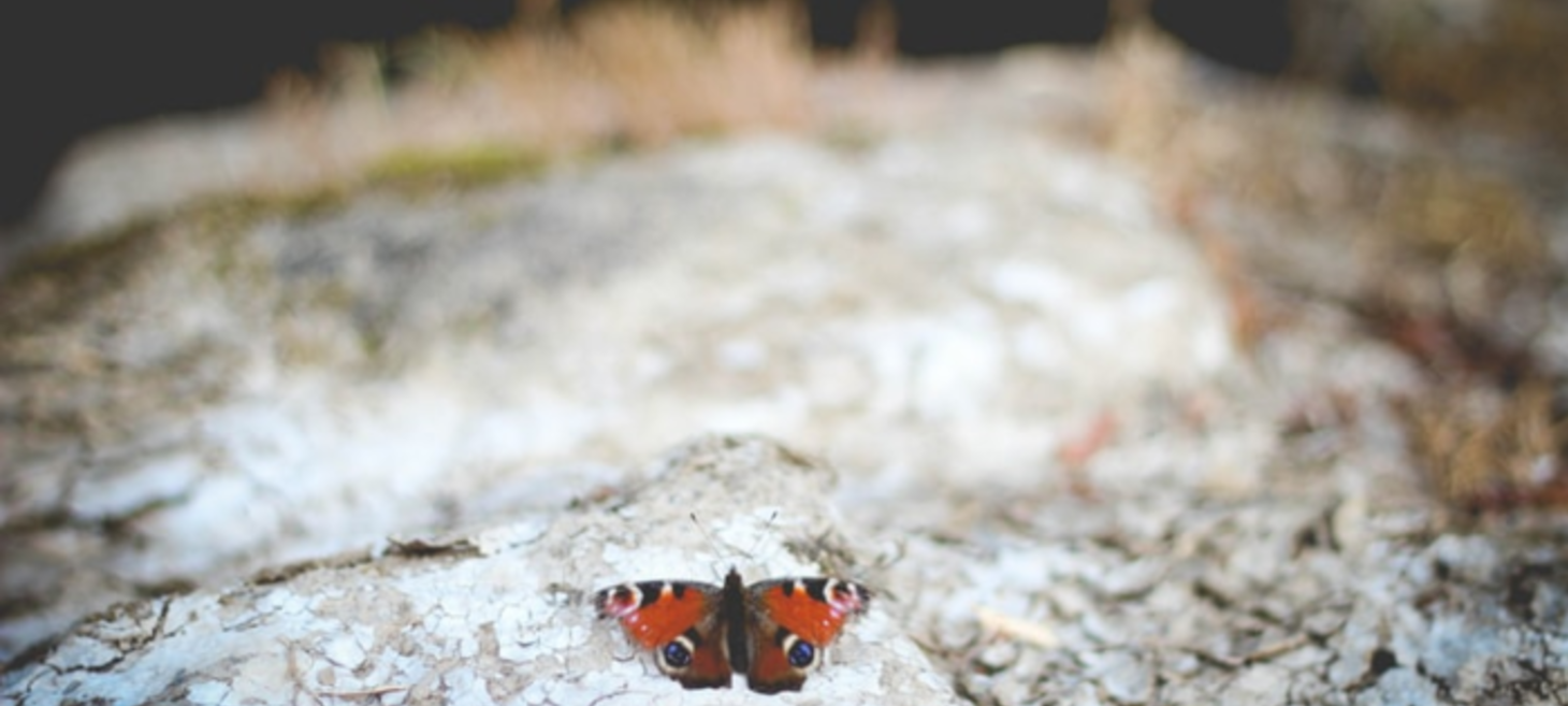 ‘Doing Agile’ to ‘Being Agile’ — A Transformation That Is Much-Needed!