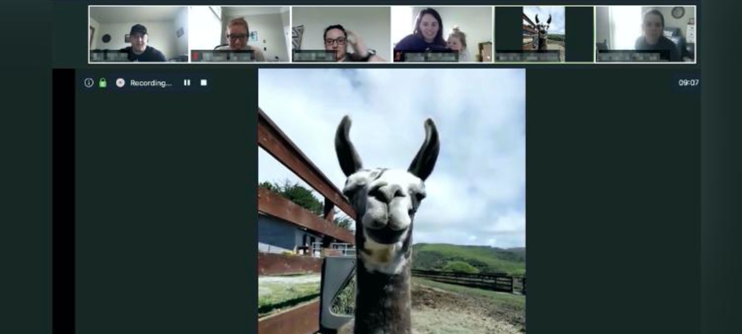 Goat 2 Meeting