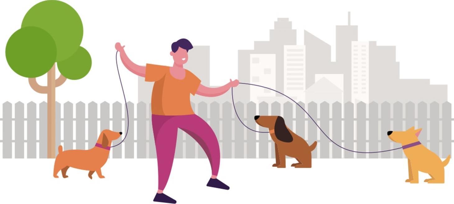Work out your walkies | Lockdown dog walk calculator