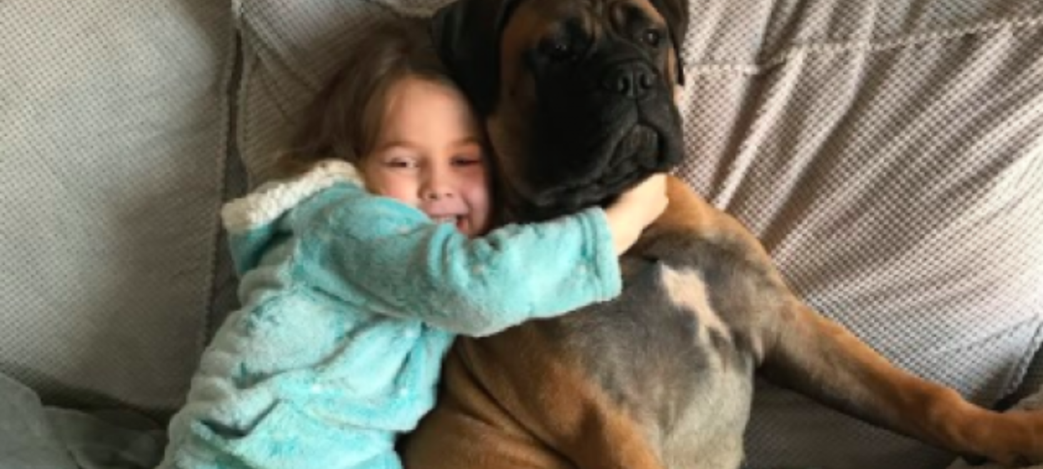 Kids have been applying to 'work from home' with their dogs during lockdown and nah, too much