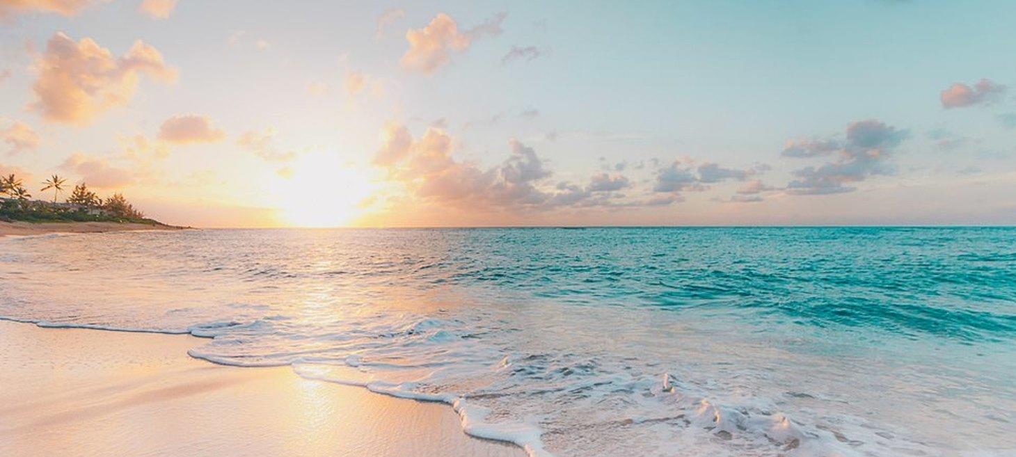 How you can use your Zoom meetings to travel around the world