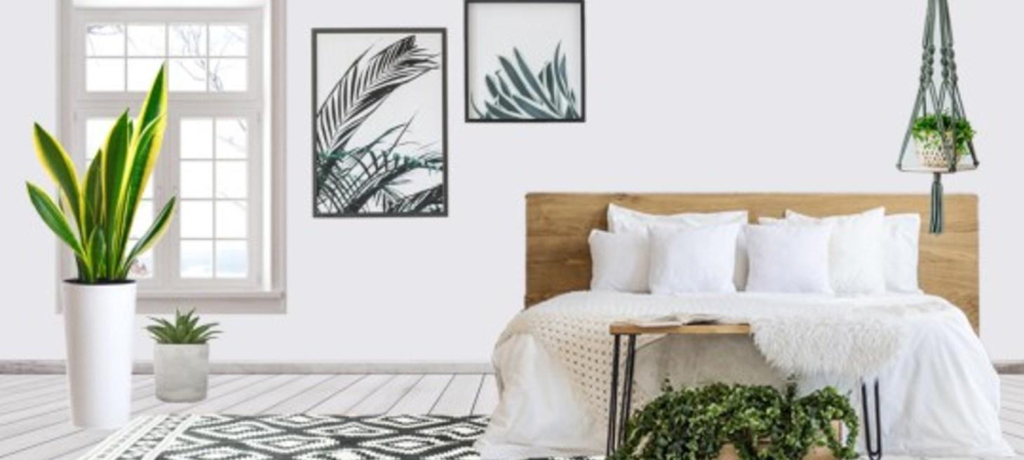 The features needed for a bedroom to get likes on Instagram