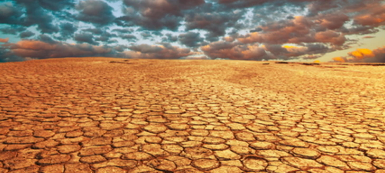 What Is Drought and Xeriscaping? Gardening in Dry Climates and During Dry Times