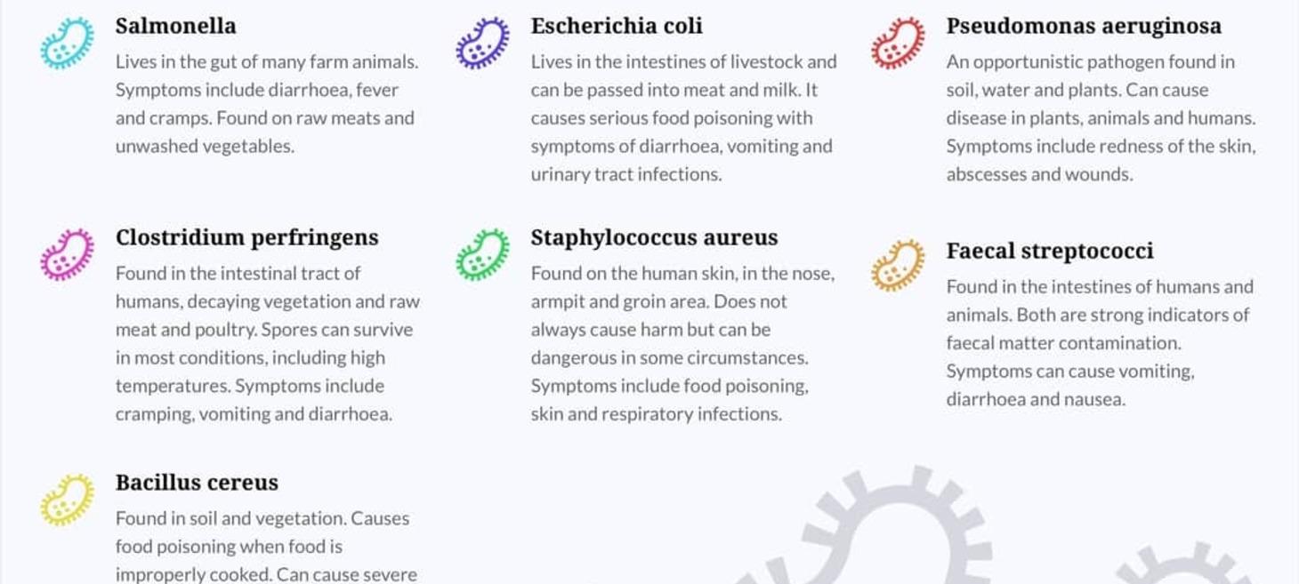 The most common bacteria in the kitchen revealed