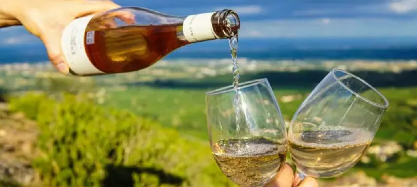 Wine Company Is Looking For Someone To Drink Wine And Get Paid £250