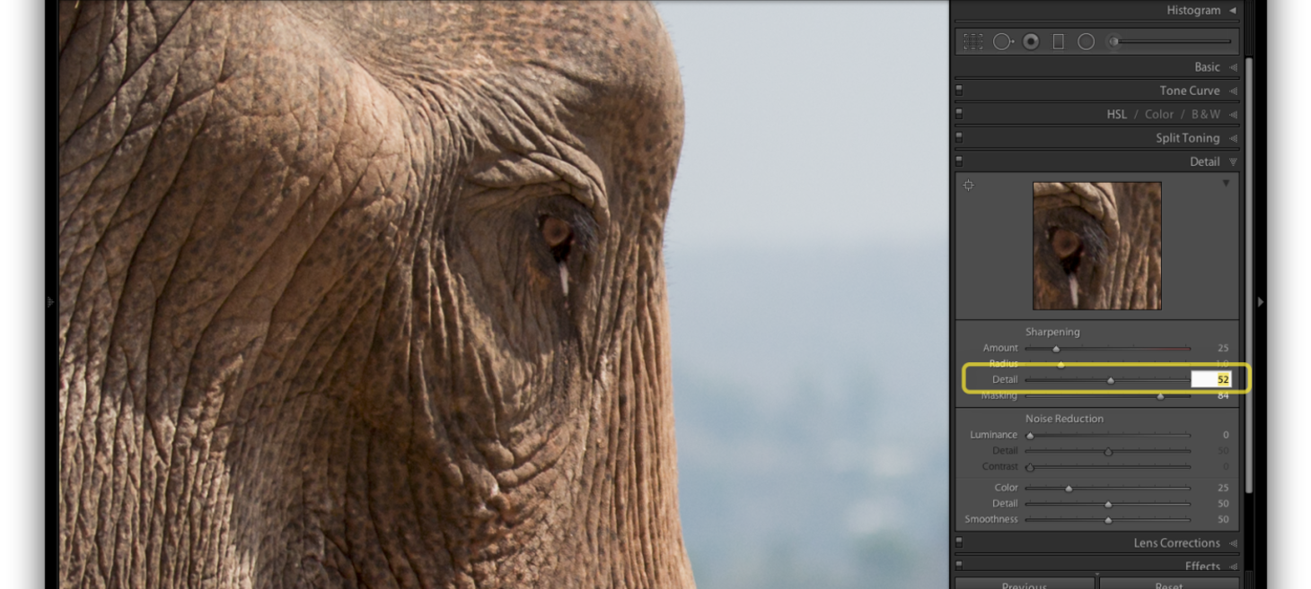 How to Sharpen Photos using Adobe Lightroom