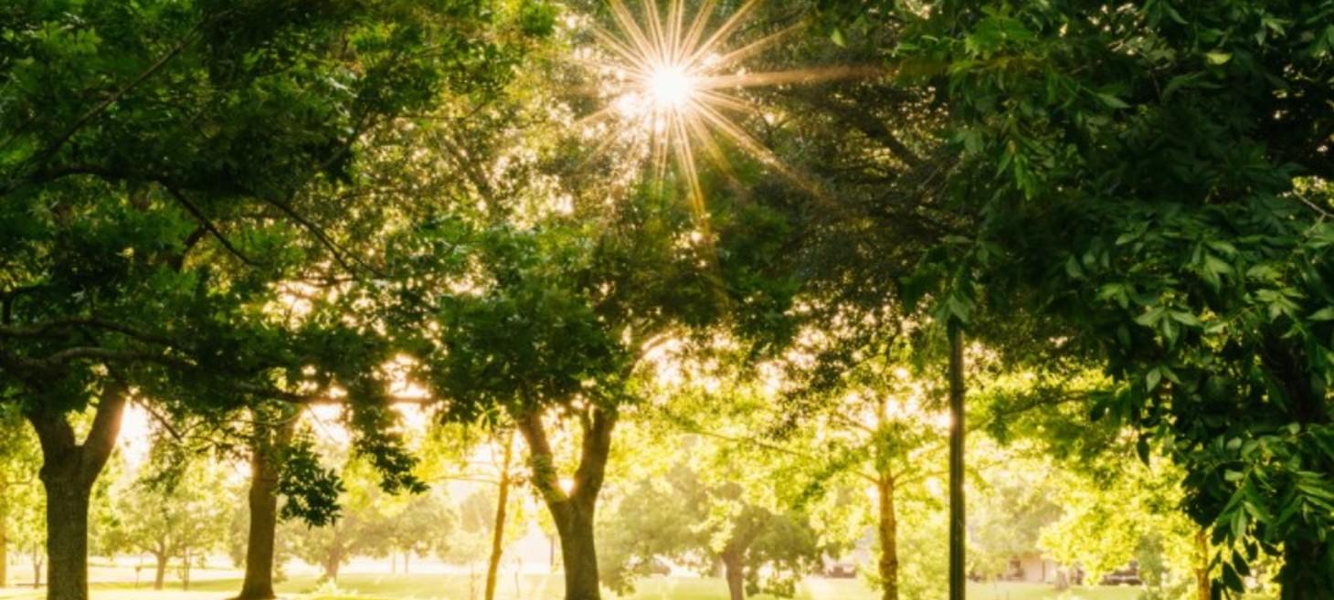 UK Towns & Cities With The Most Parks