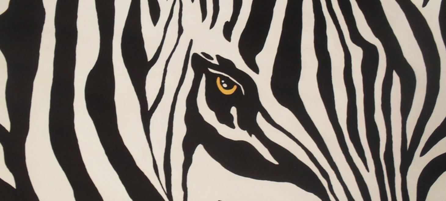 In defence of the HIPPO (but beware the ZEBRA)