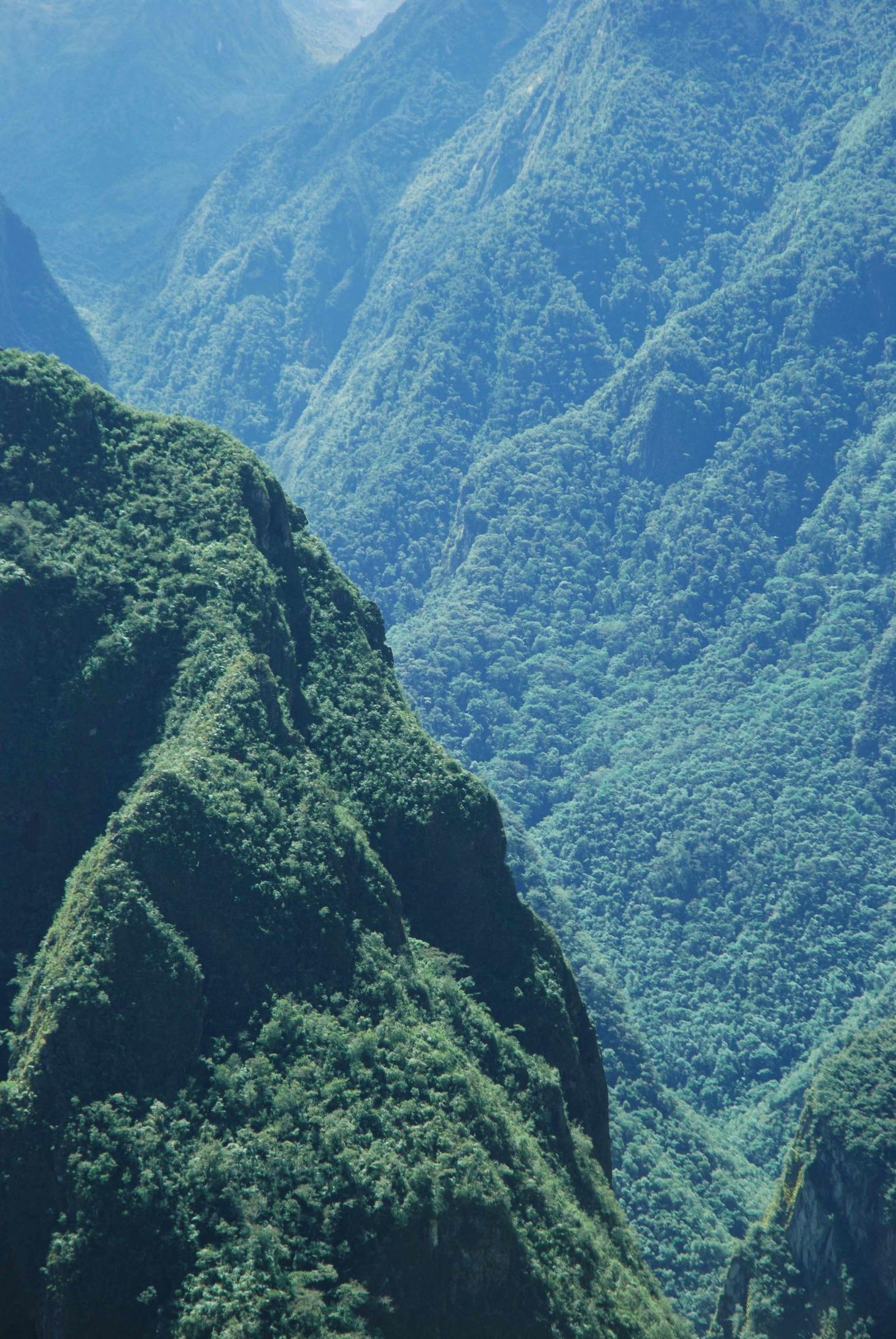 How Transition Zones in the Andes Affect Hummingbird Evolution