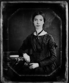 Nectar in Dickinson's Poetry: I Taste a Liquor Never Brewed