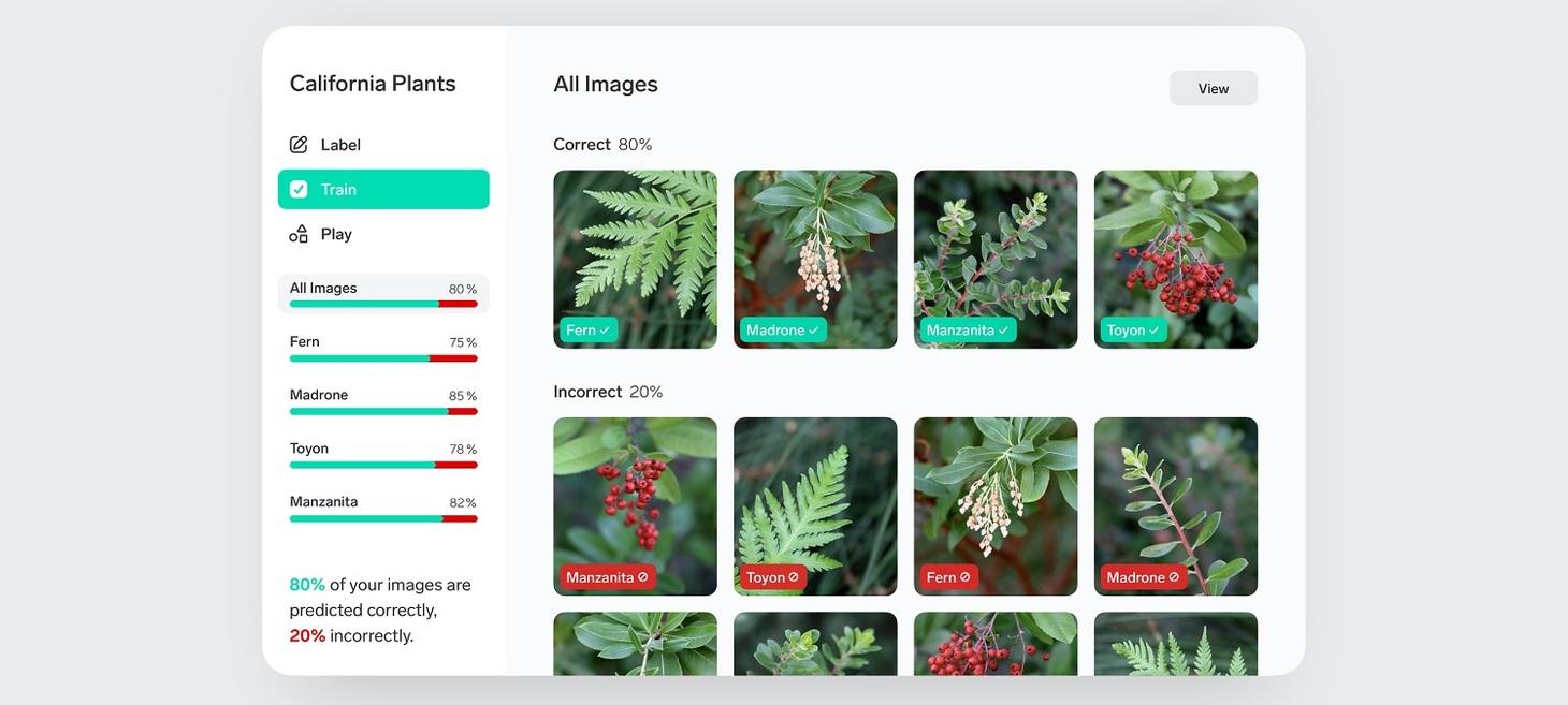 Lobe | Machine Learning Made Easy