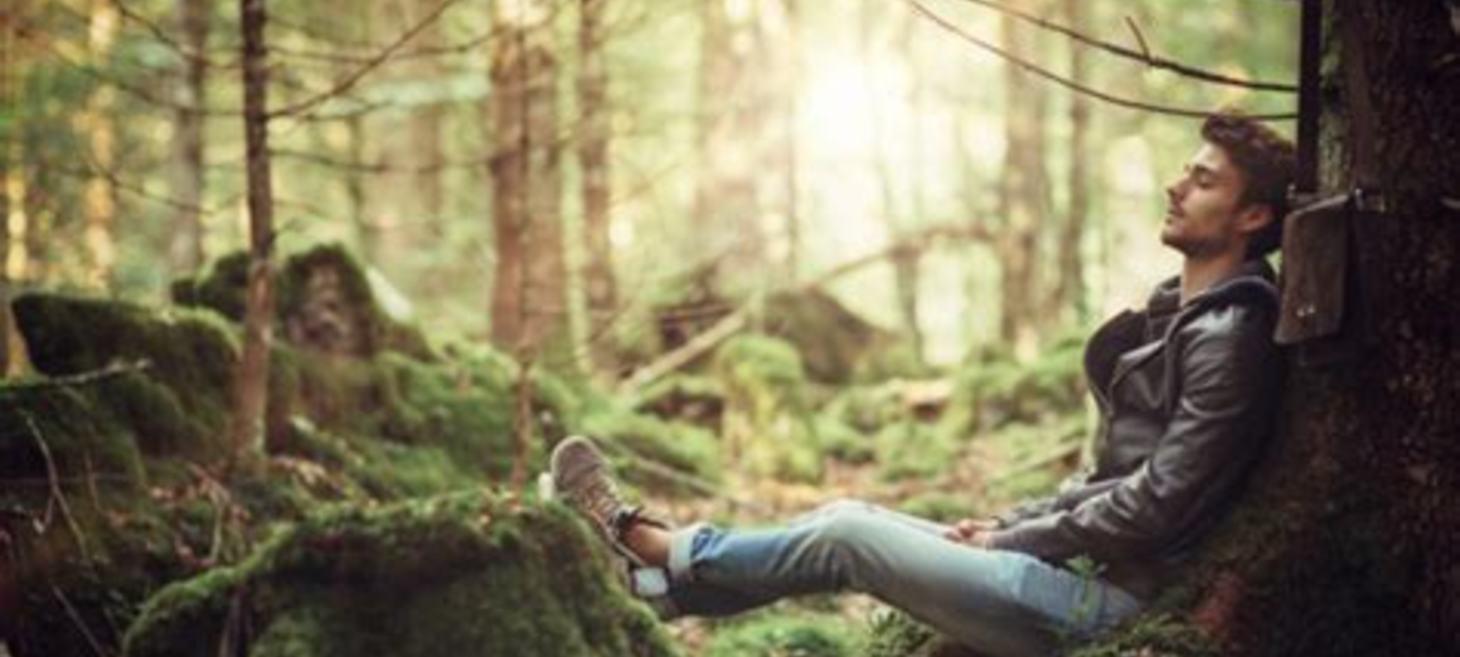 5 Life Lessons We Can All Learn From Nature |by Tentree International | Tentree.com