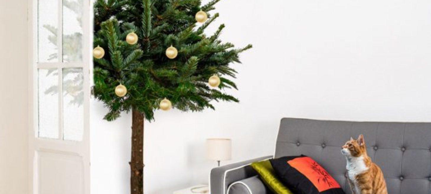 Cat owners rejoice! This cat-proof Christmas tree saves the day