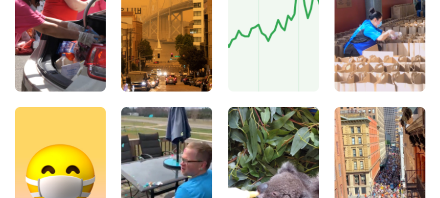 Year in Search: Trends that shaped 2020