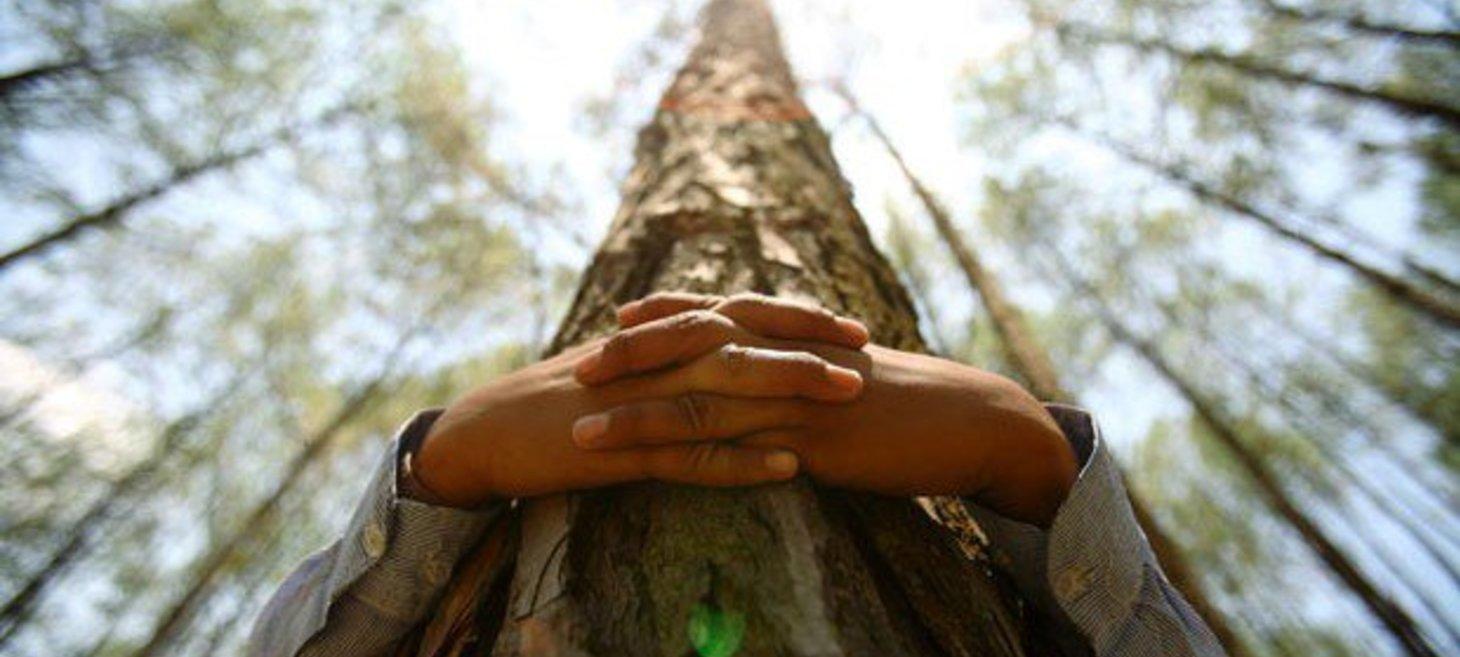 Spending Time in Nature Reduces Stress | by Cornell University | ScienceDaily.com
