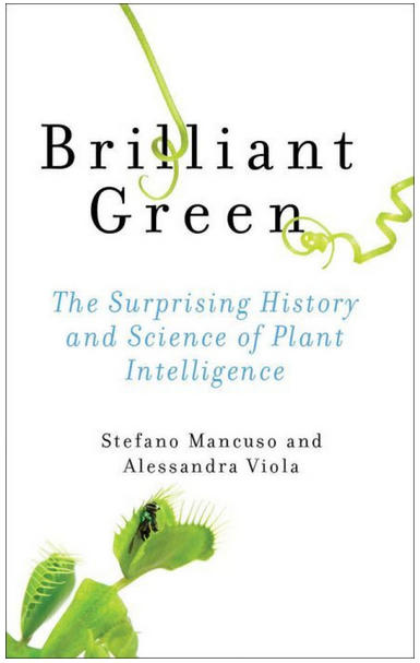 New Book Argues that Plants Are Intelligent