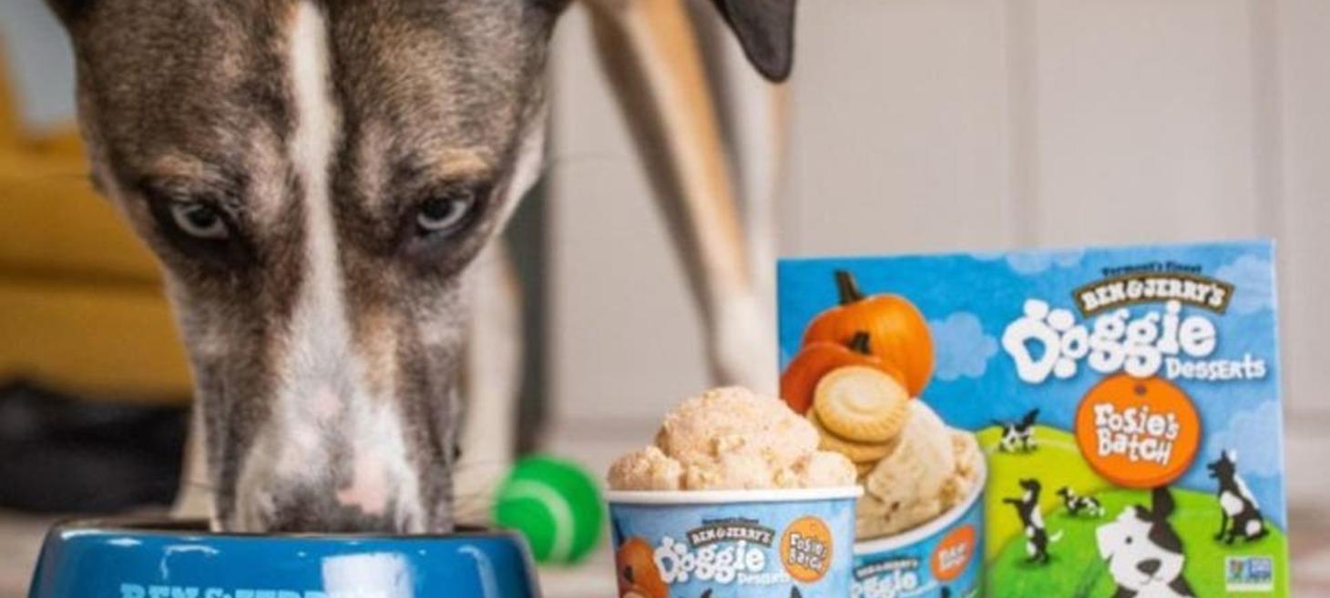 Ben & Jerry’s launches ice cream for dogs