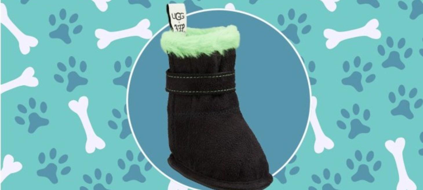 Luxury pet retailer creates £60 Ugg boots for dogs