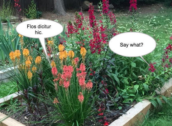 How to Sound Intelligent Talking About Plants