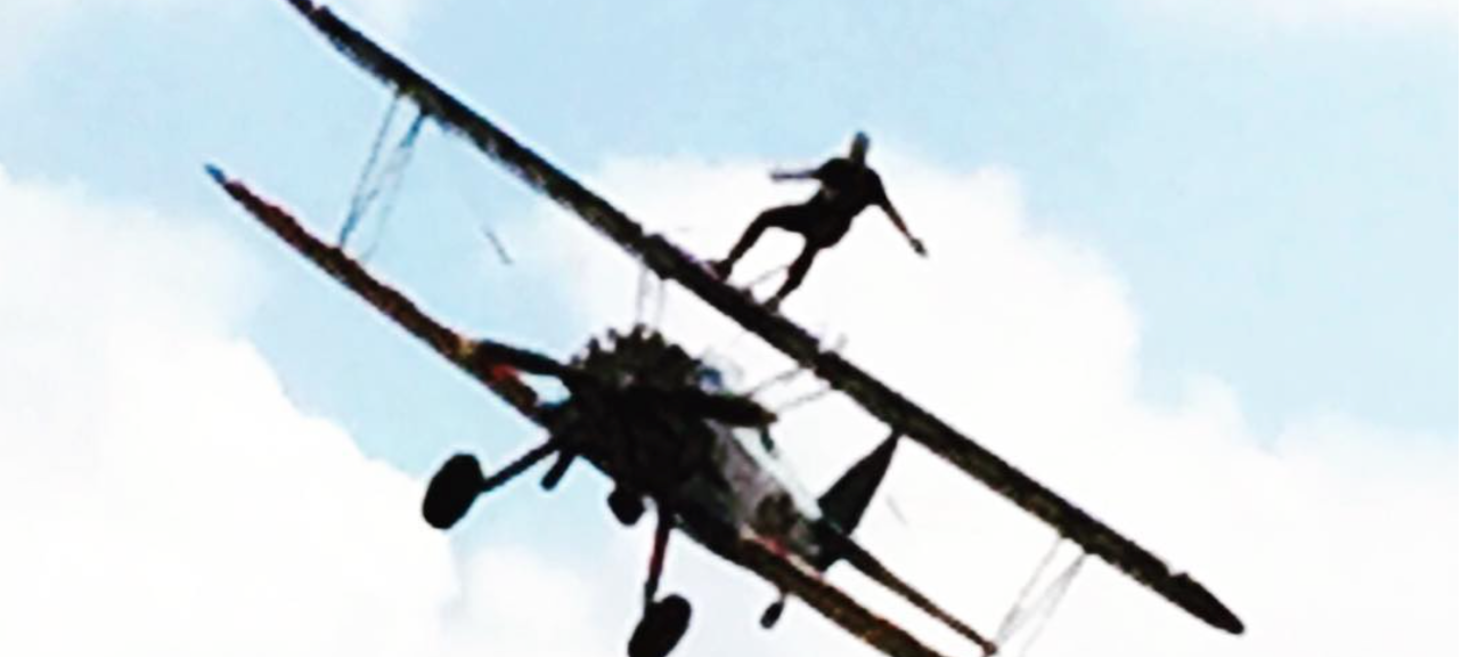 Tesla CEO Elon Musk Goes Wing Walking
