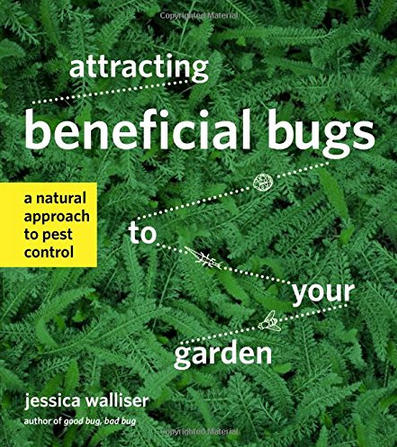 Attracting Benefical Bugs to Your Garden: Confessions from a Former Insect Hater