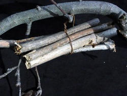 Bee Hotel Project: Super Easy Stick Nests