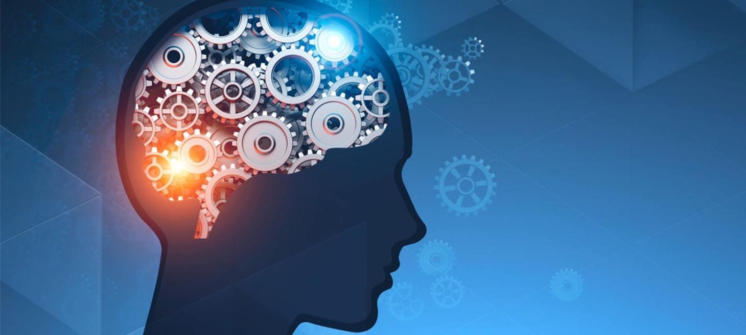 School-based mindfulness training is linked to neural plasticity and improved cognitive control among sixth graders