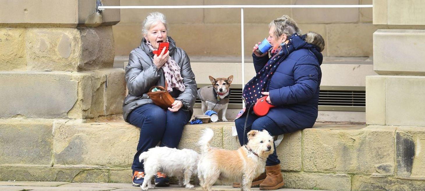 Derbyshire's most dog-friendly days out