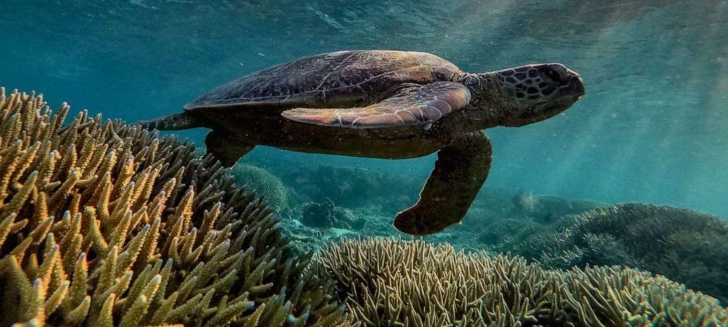 World Ocean Day 2021: This is how climate change may alter 10 of the world's natural wonders