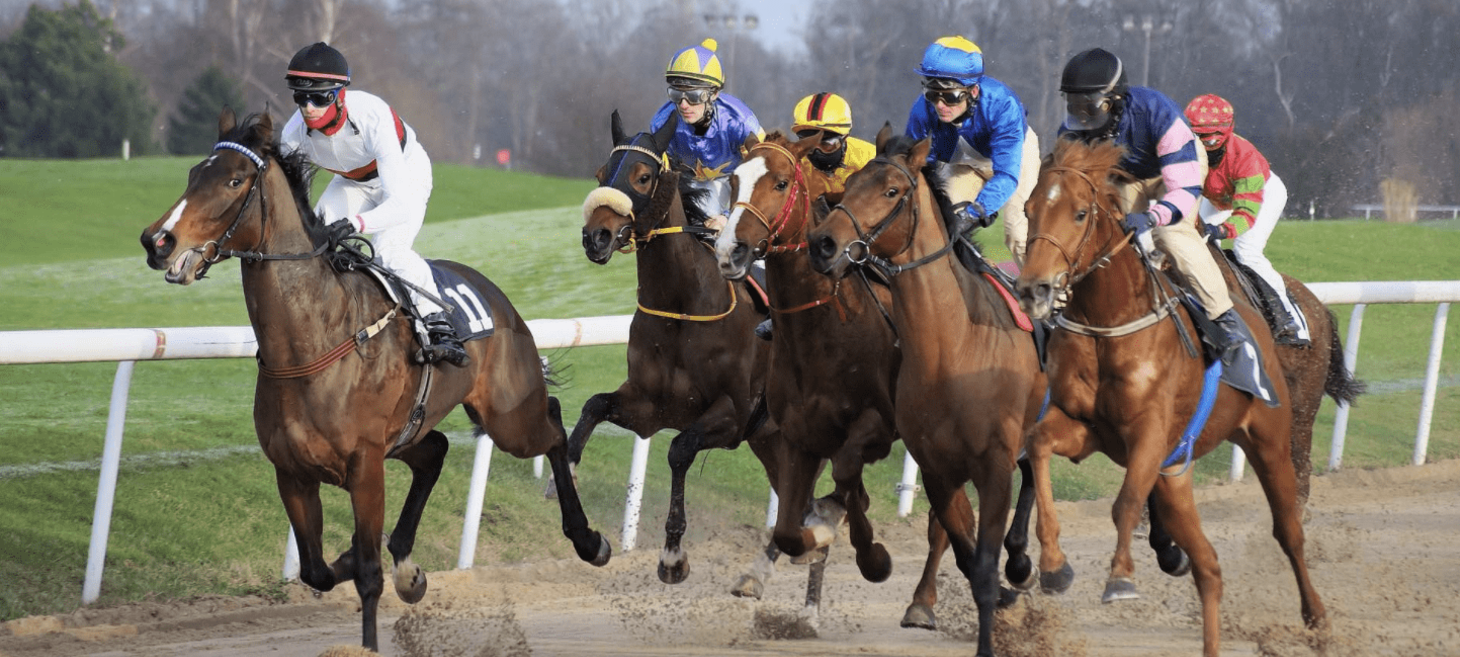 Crypto Analyst: Cardano Remains ‘One of the Main Racehorses’ of This Market Cycle