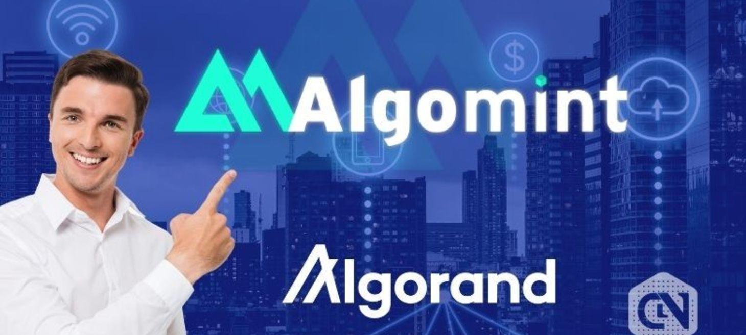 Algomint Collects $1.5M in Its Seed Round for Algorand DeFi