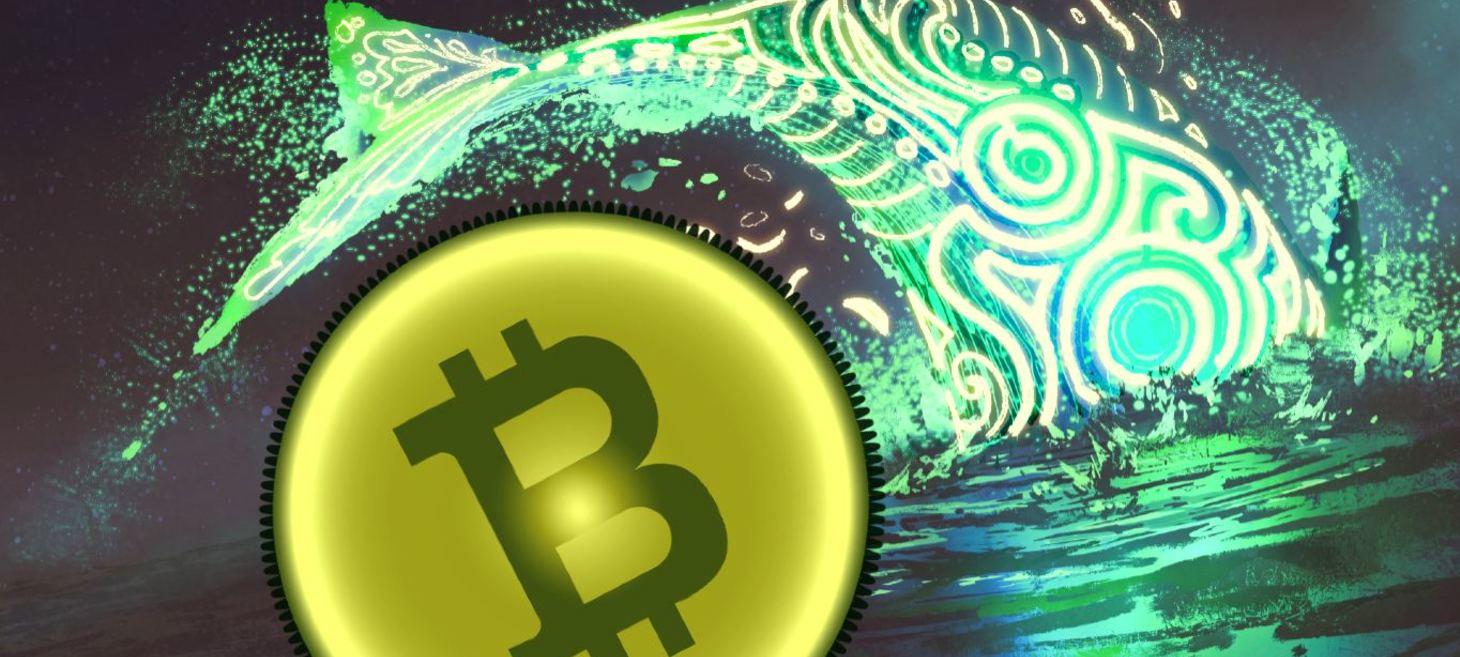 Bitcoin Selling Pressure High as BTC Whales Deposit to Exchanges, According to CryptoQuant CEO