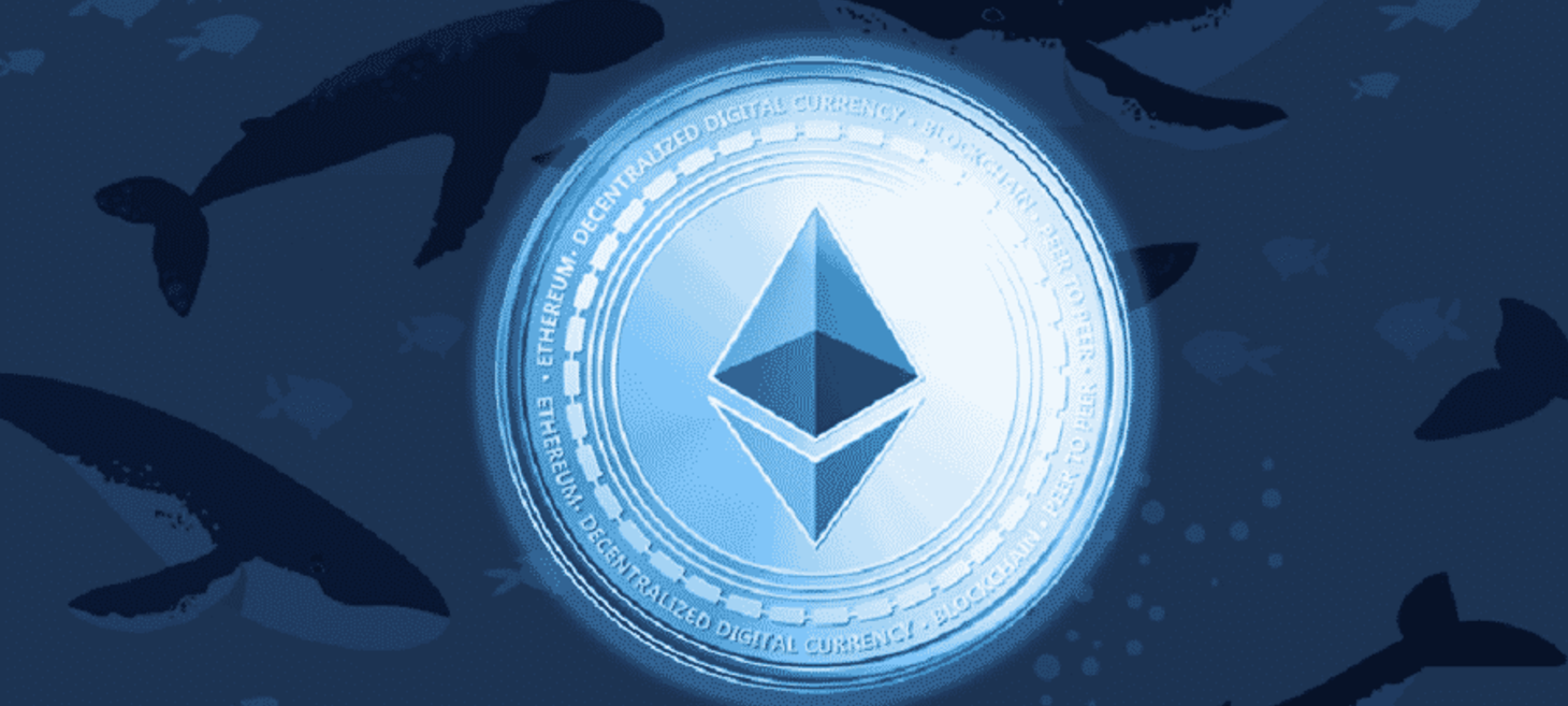 On-Chain Analysis : Ethereum (ETH) Shoots 10% as Non-Exchange Whale Holdings Hit 5-year high