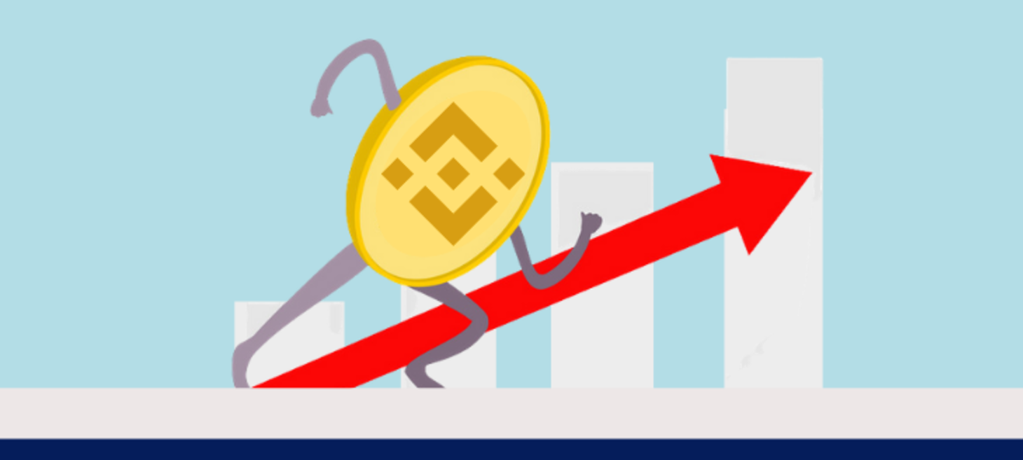 Binance Coin On Verge of Explosion ! Will BNB Price Hit $700 Level This Week !