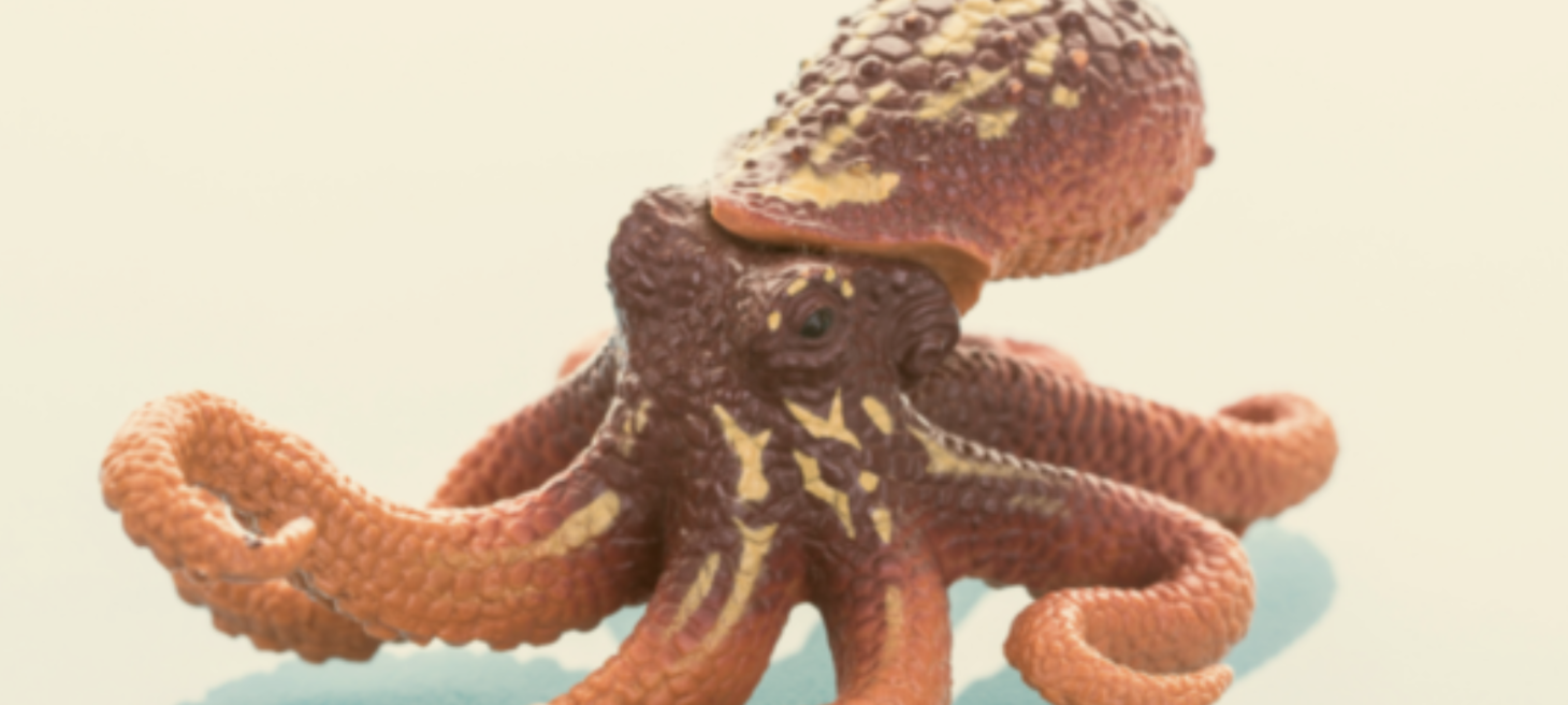Kraken Faces $1.25 Million Fine From CFTC